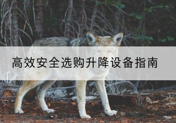 富民升降货梯厂家推荐-*安全选购升降设备指南