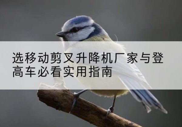 富民电动升降机厂家-选移动剪叉升降机厂家与登高车必看实用指南